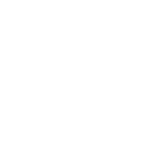 Logo Palmital Posadas Trail