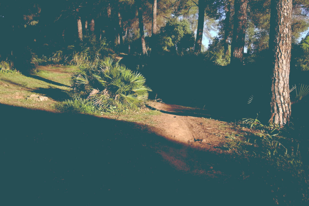 La Sierrezuela, Posadas